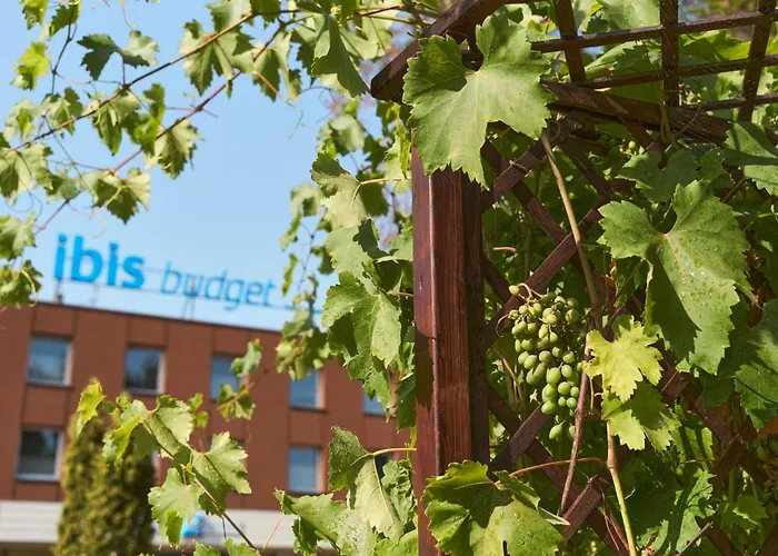 Ibis Budget Poludnie Hotel *